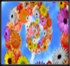 offerta primavera 25 aprile 1 maggio - sistemazione in Suite 